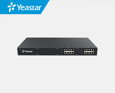 Yeastar S100